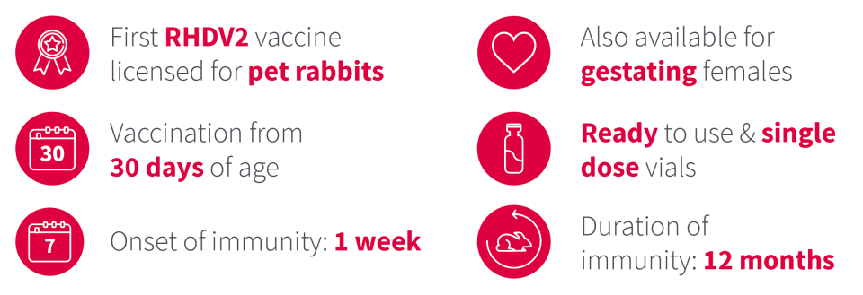 eravac-vaccine-for-companion-rabbits
