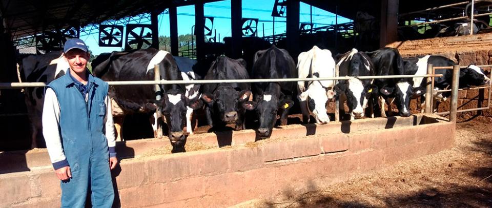 caso-de-sucesso-contra-mastite-em-vacas-leiteiras-granja-fell