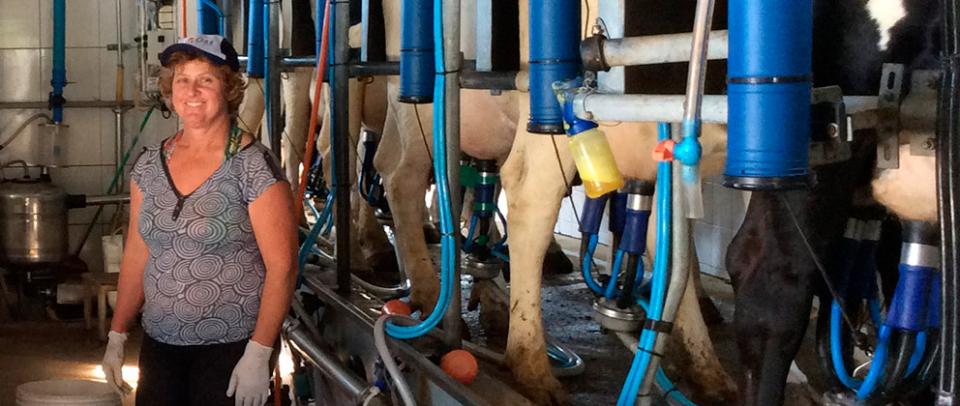 caso-de-sucesso-contra-mastite-em-vacas-leiteiras-granja-florinda