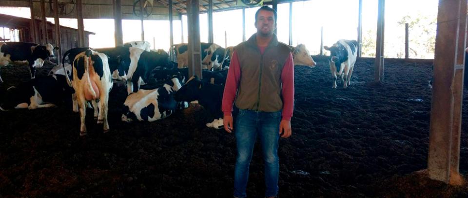 caso-de-sucesso-contra-mastite-em-vacas-leiteiras-granja-michelon