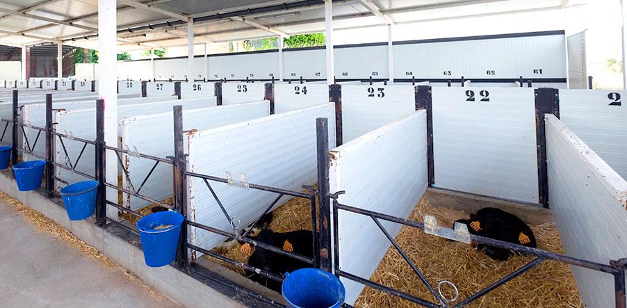 header-biosecurity-farms-covid-19-A