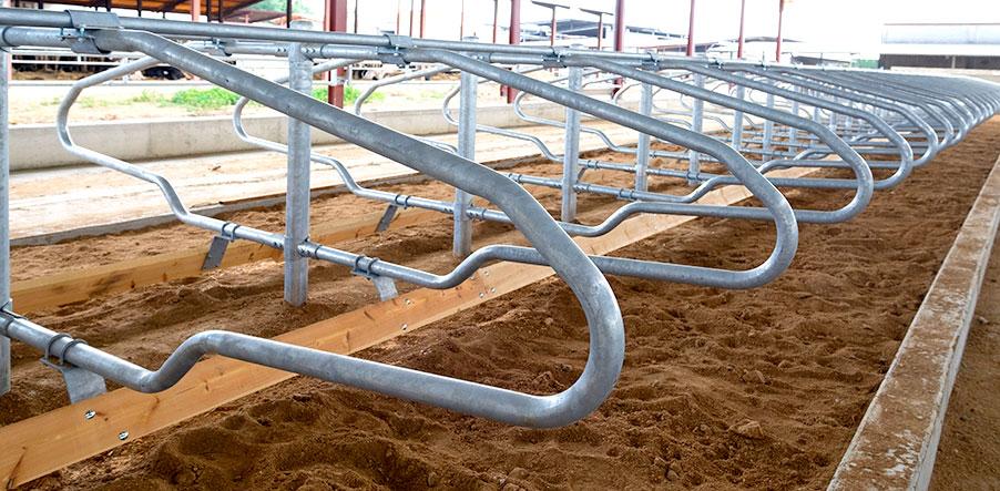 header-biosecurity-farms-covid-19-B