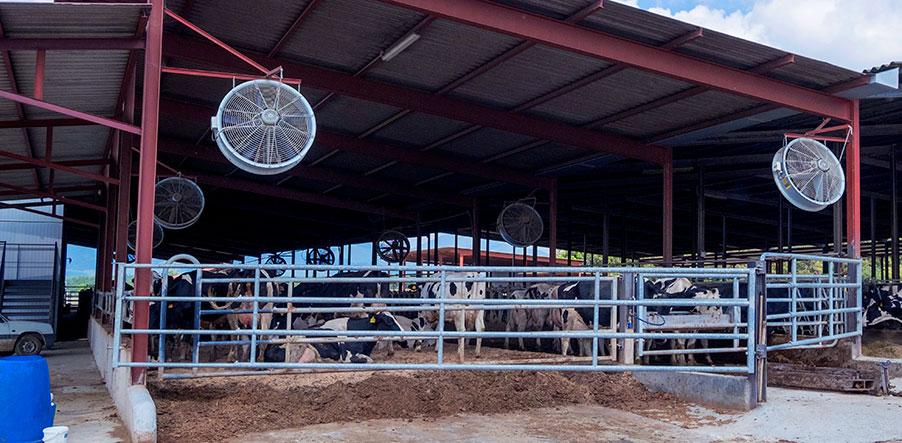 header-biosecurity-farms-covid-19