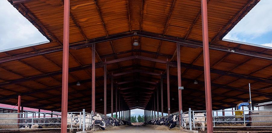 header-biosecurity-farms-covid-19-E