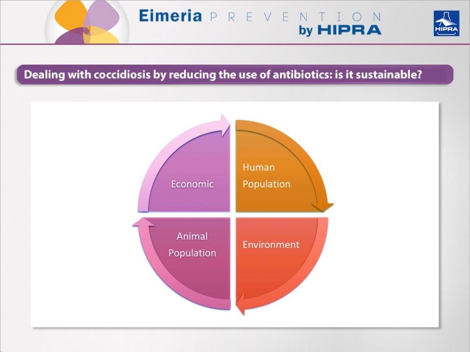 Dealing with coccidiosis by reducing the use of antibiotics is it sustainable? (Part 1) HIPRA