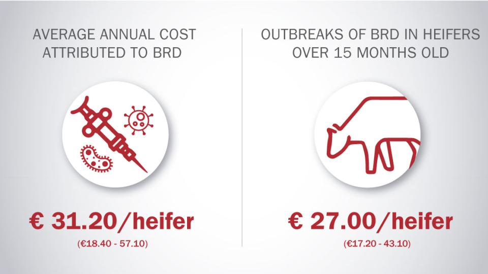 Reducing the economic impact of the BRD is possible