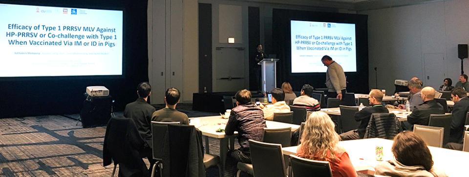 american-prrs-swine-symposium-chicago-2019-B