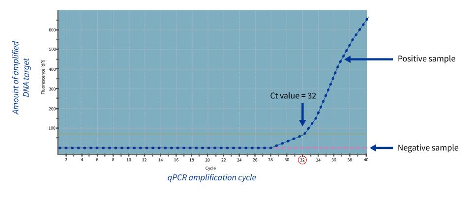 controlling-gumboro-disease-ibd-gumbocheck-1