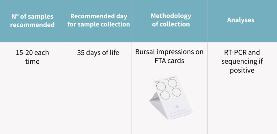 controlling-gumboro-disease-ibd-vaccination2
