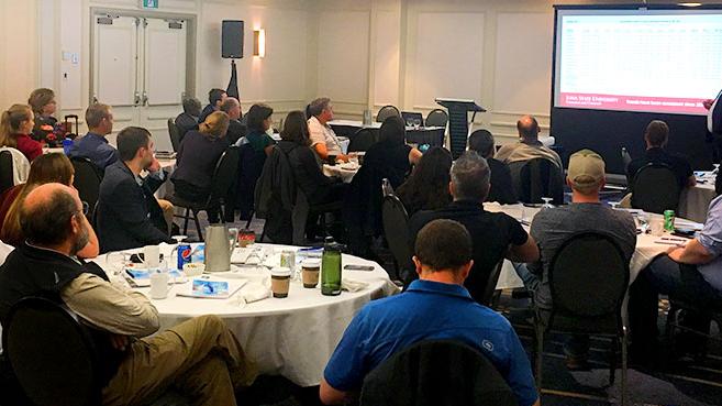 escherichia-coli-swine-course-3