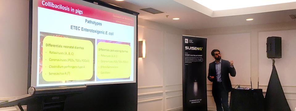 escherichia-coli-swine-course-4