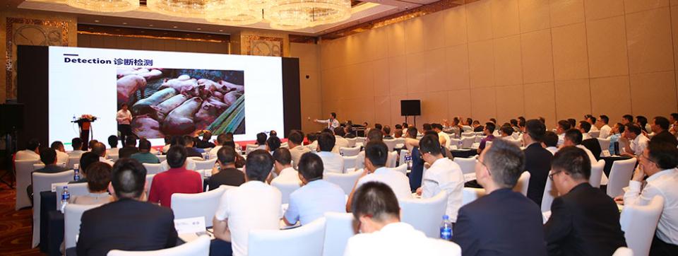 fight-against-african-swine-fever-china