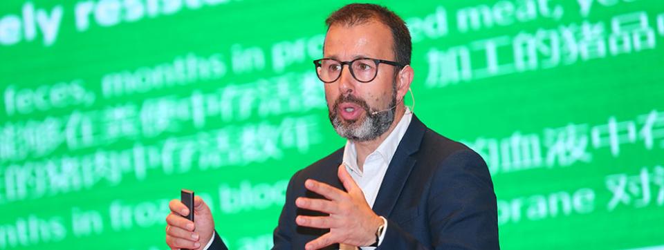 fight-against-african-swine-fever-china