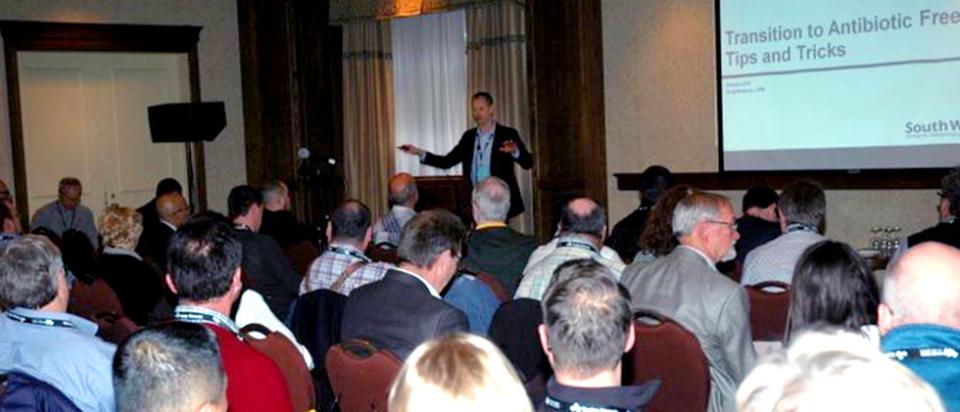 hipra-university-vaccine-banff-pork-canada