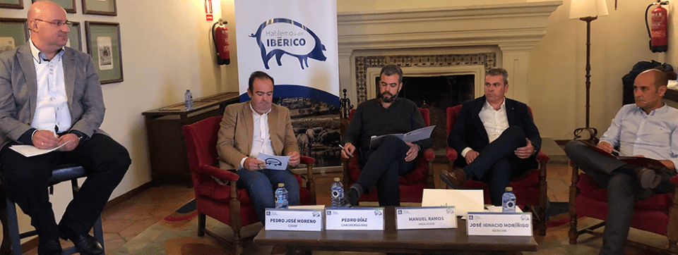 iberian-pigs-conference