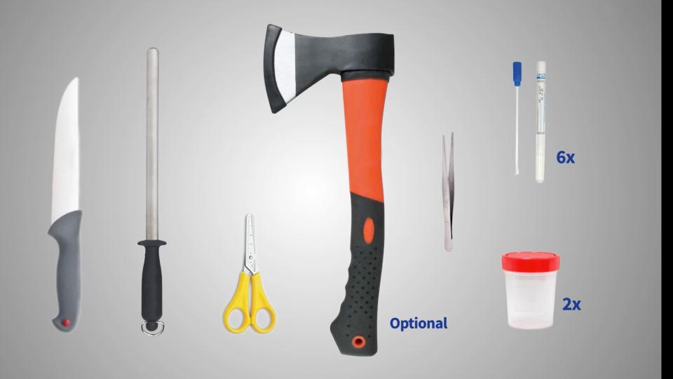 Necropsies materials