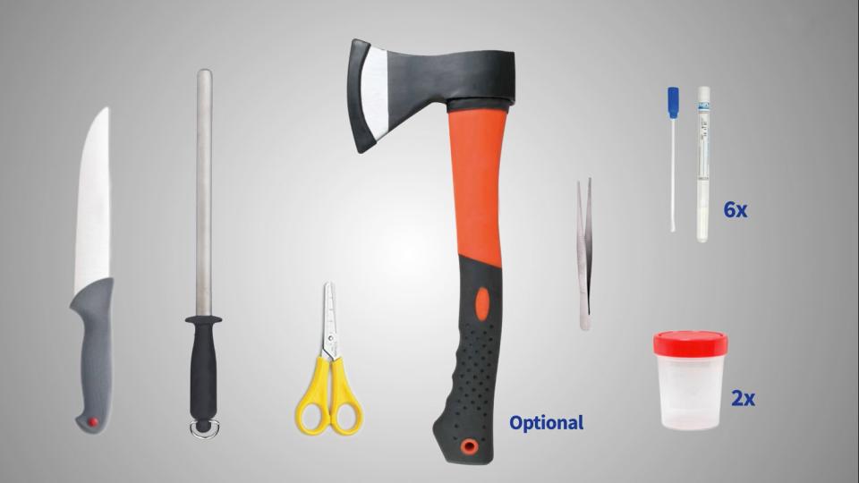 Detect &amp; Protect materials