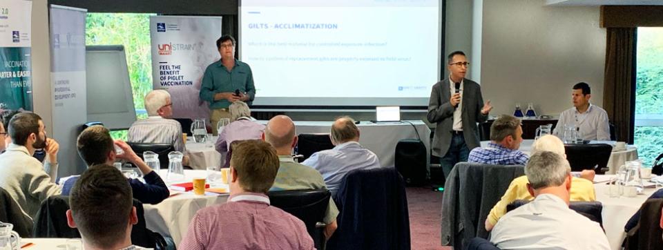 prrs-swine-vaccination-course-ireland-uk