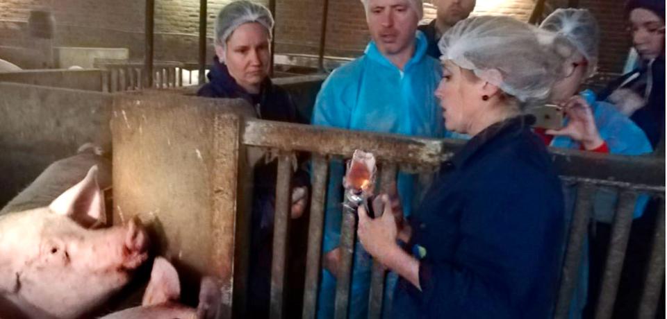 swine-vaccination-best-practices-training-2