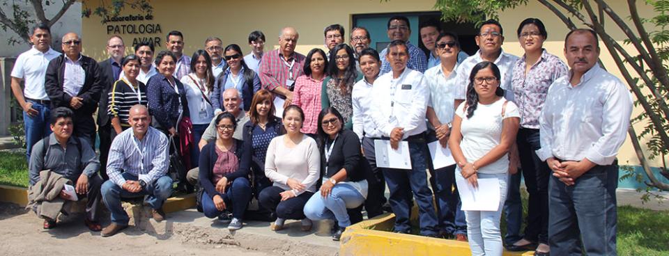 HU-Course-Newcastle-Lima2