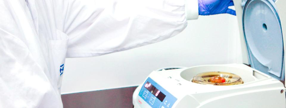 avian-metapneumovirus-diagnos-indonesia-2B