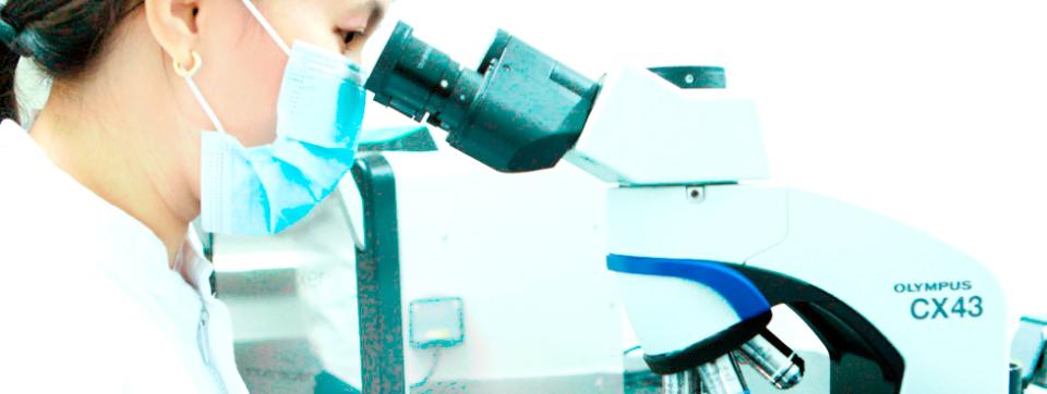 avian-metapneumovirus-diagnos-indonesiaB