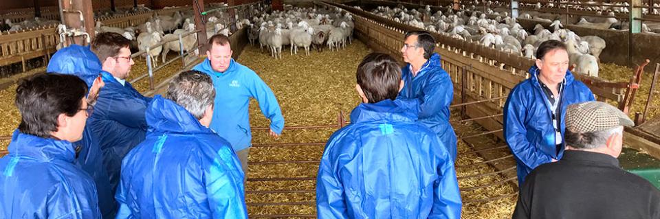 mastitis-in-sheep-audit-training-courseS1