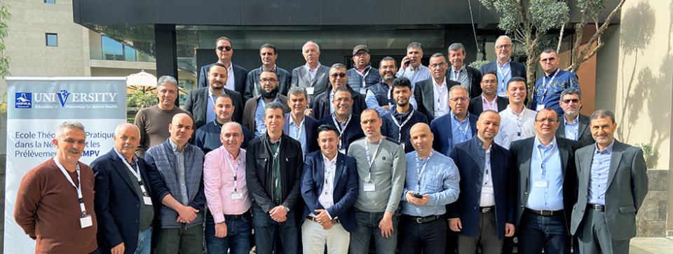 training-avian-metapneumovirus-morocco