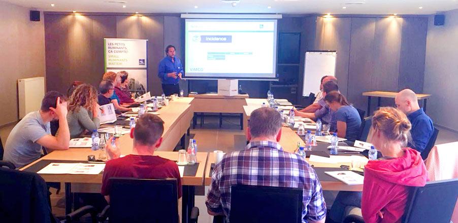 vimco-vaccine-against-caprine-and-ovine-mastitis-in-netherlands-belgium-uk