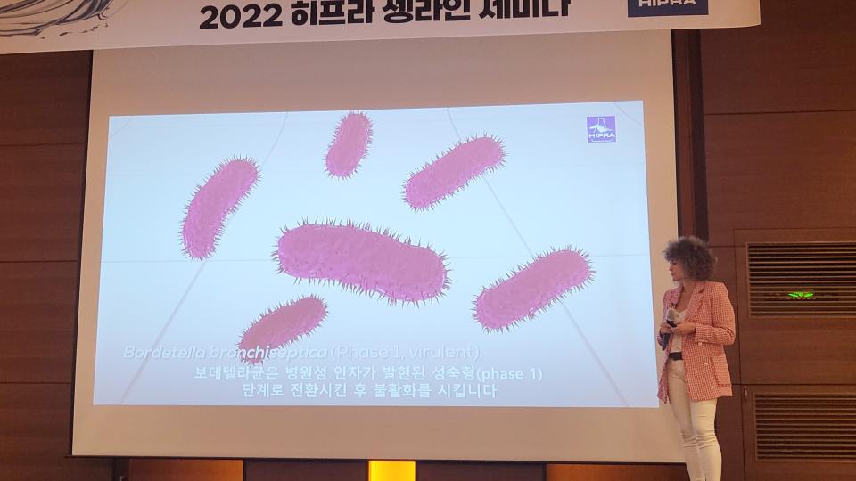 sow vaccine program korea