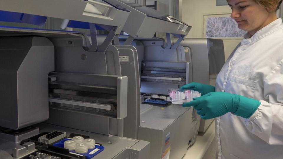 Clostridioides difficile diagnos