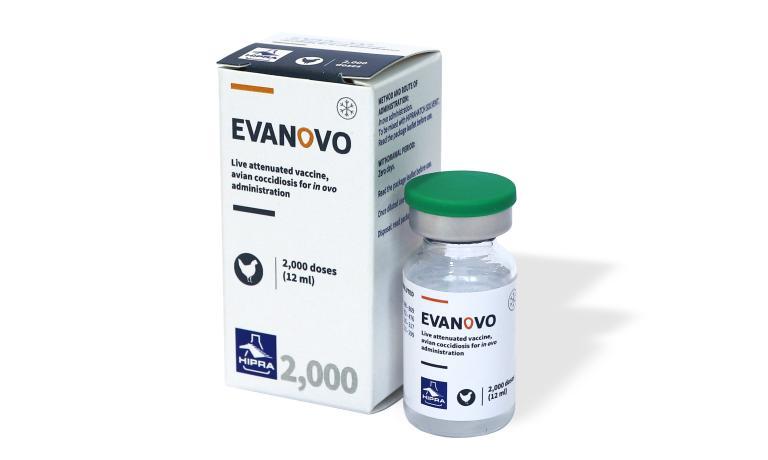 evanovo