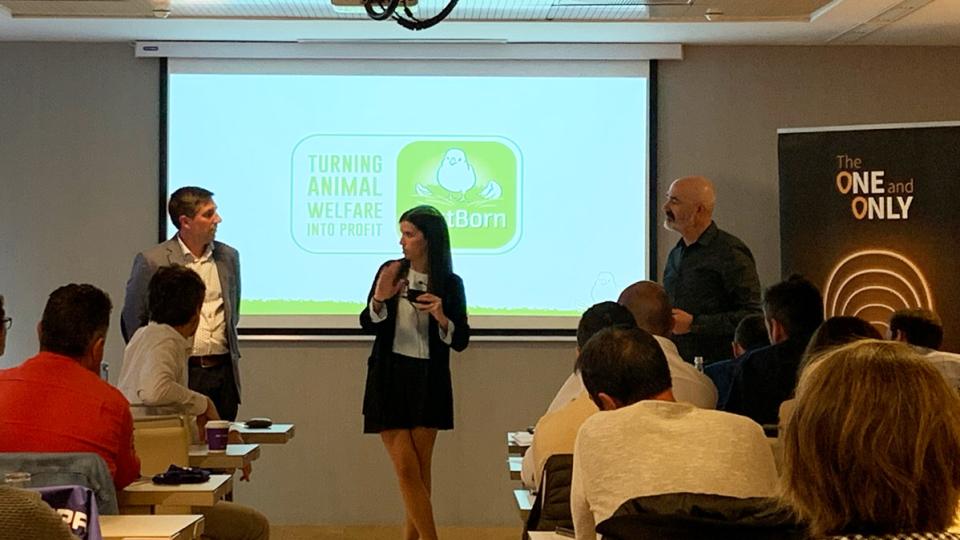 Hatchery Day Spain
