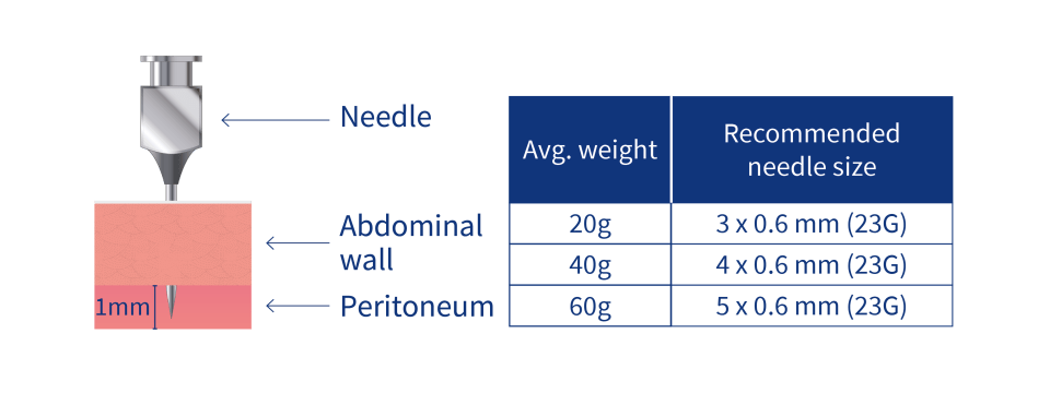 needle size