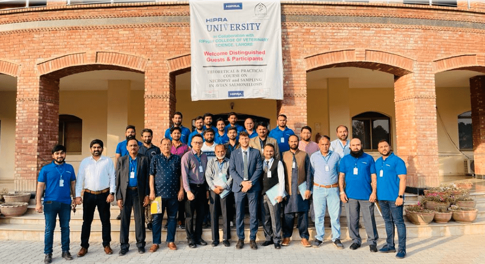salmonella course hipra pakistan