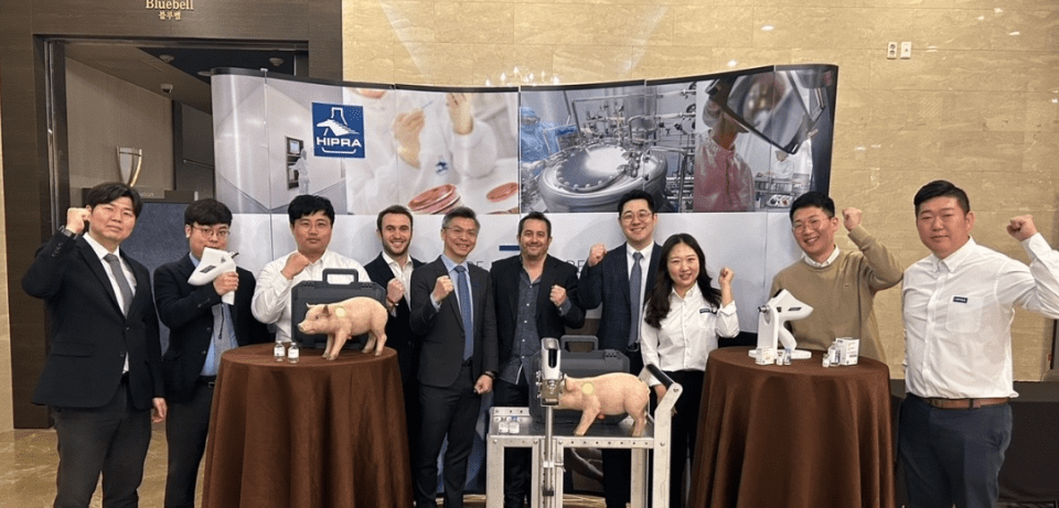 swine prrs korea