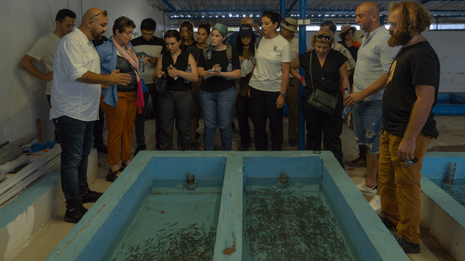 Fish Training FAO