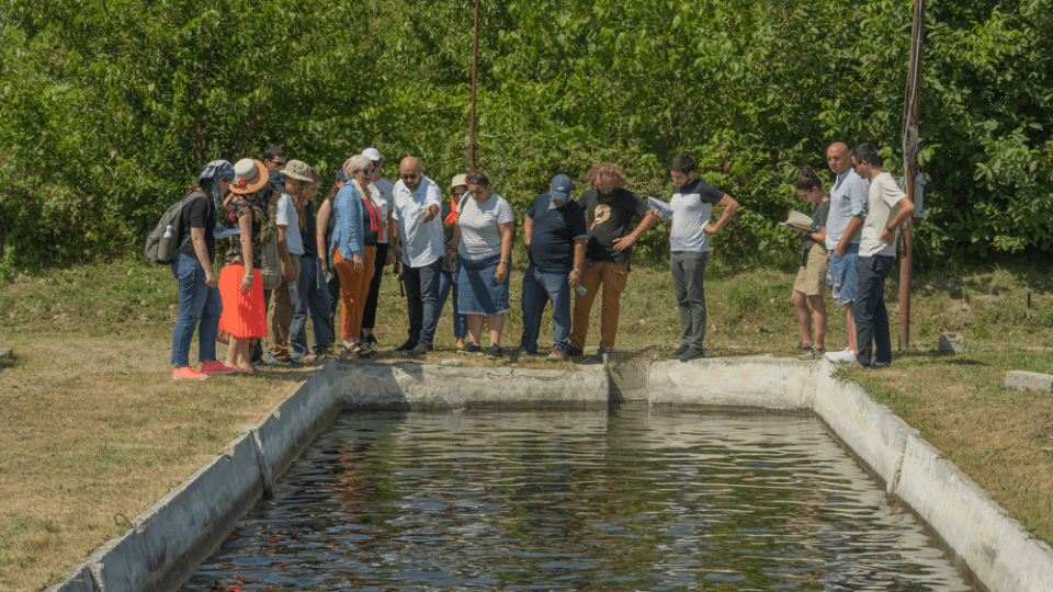 Fish Training FAO