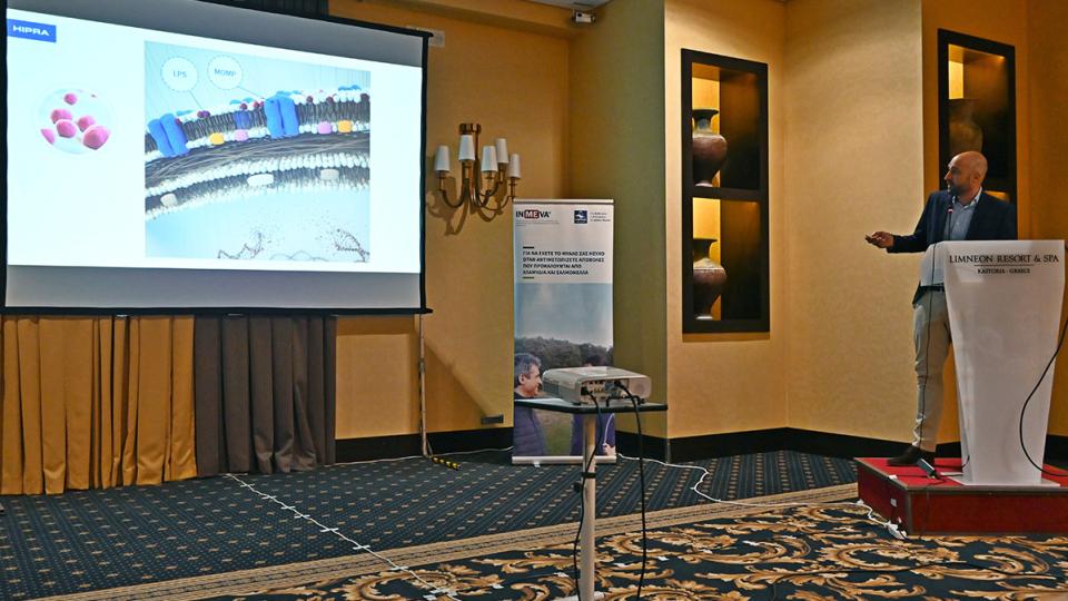 Chlamydia event Greece