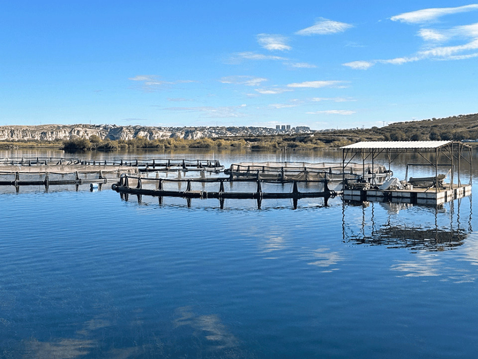 Turkey workshop with trout producers