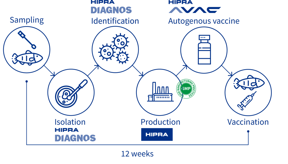Autogenous Vaccines Service for Fish HIPRA