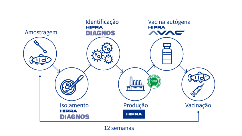 Autogenous vaccines services Brasil