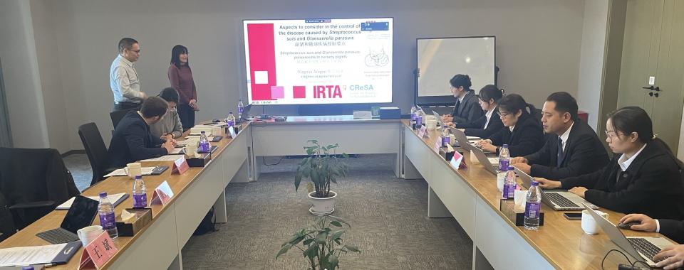 hipra china swine health