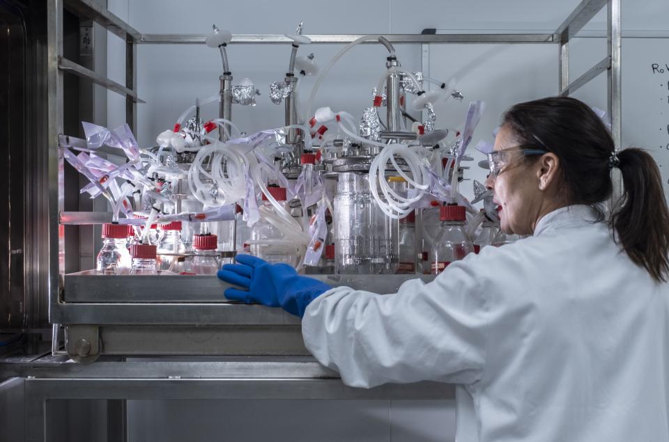 influenza-consortium_HIPRA