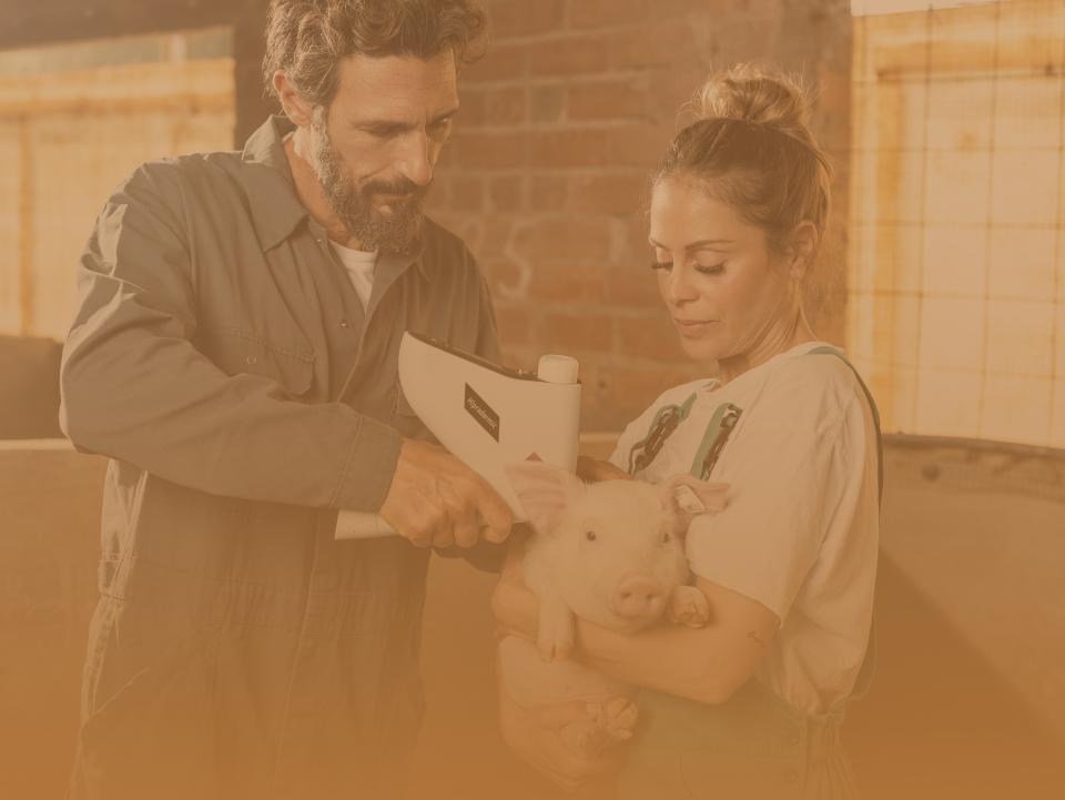 banner-web_animal-health