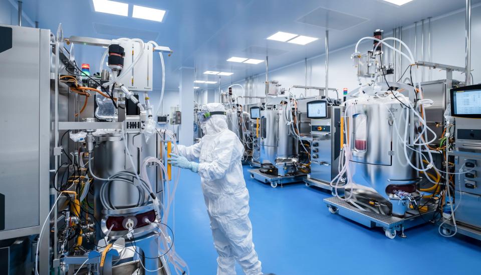 CDMO services first year