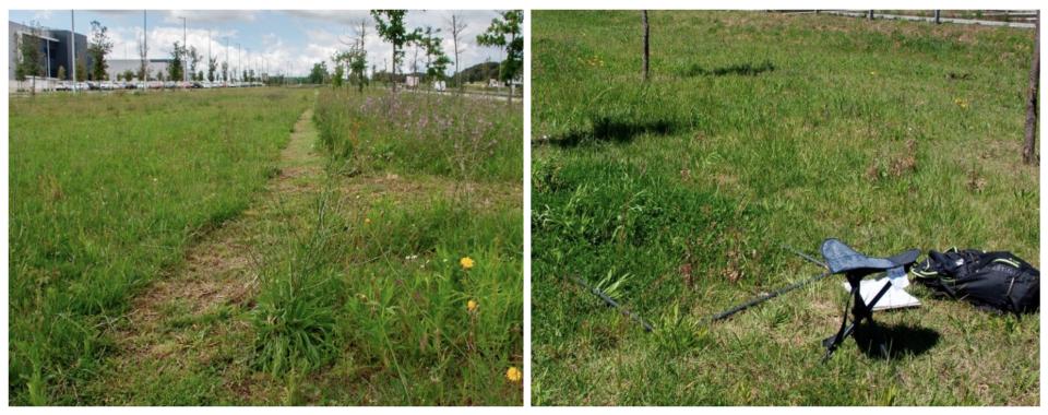 landscape management by hipra