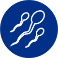 Reproductive