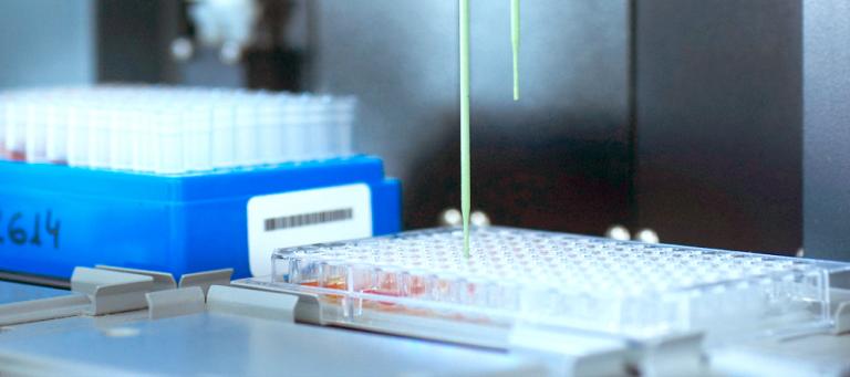 Serological response to myxomatosis vaccination by different inoculation systems on farm rabbits
