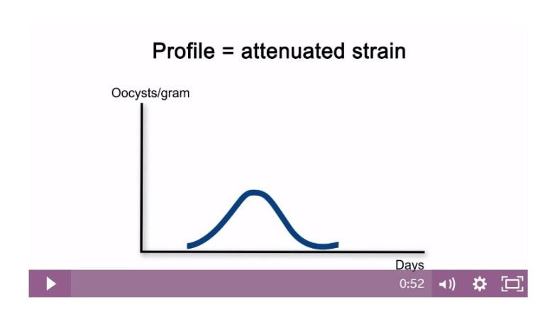 attenuated_strain